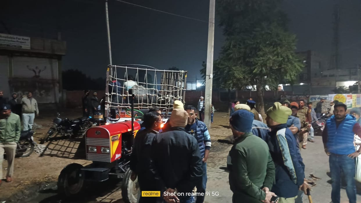 City council team that went to catch animals attacked, 20 animals caught