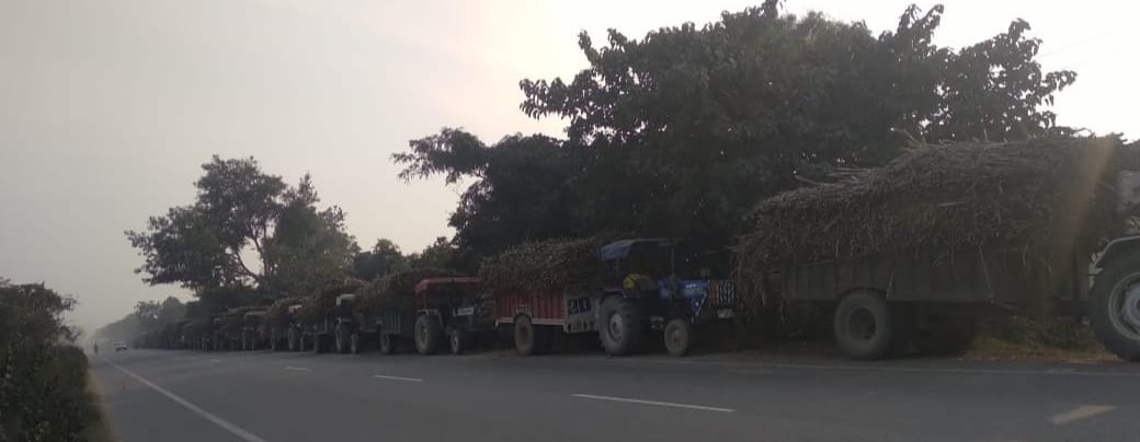 Indents issued for abundant supply of sugarcane, lines of vehicles formed