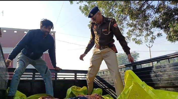 cow protectors caught a cart full of meat