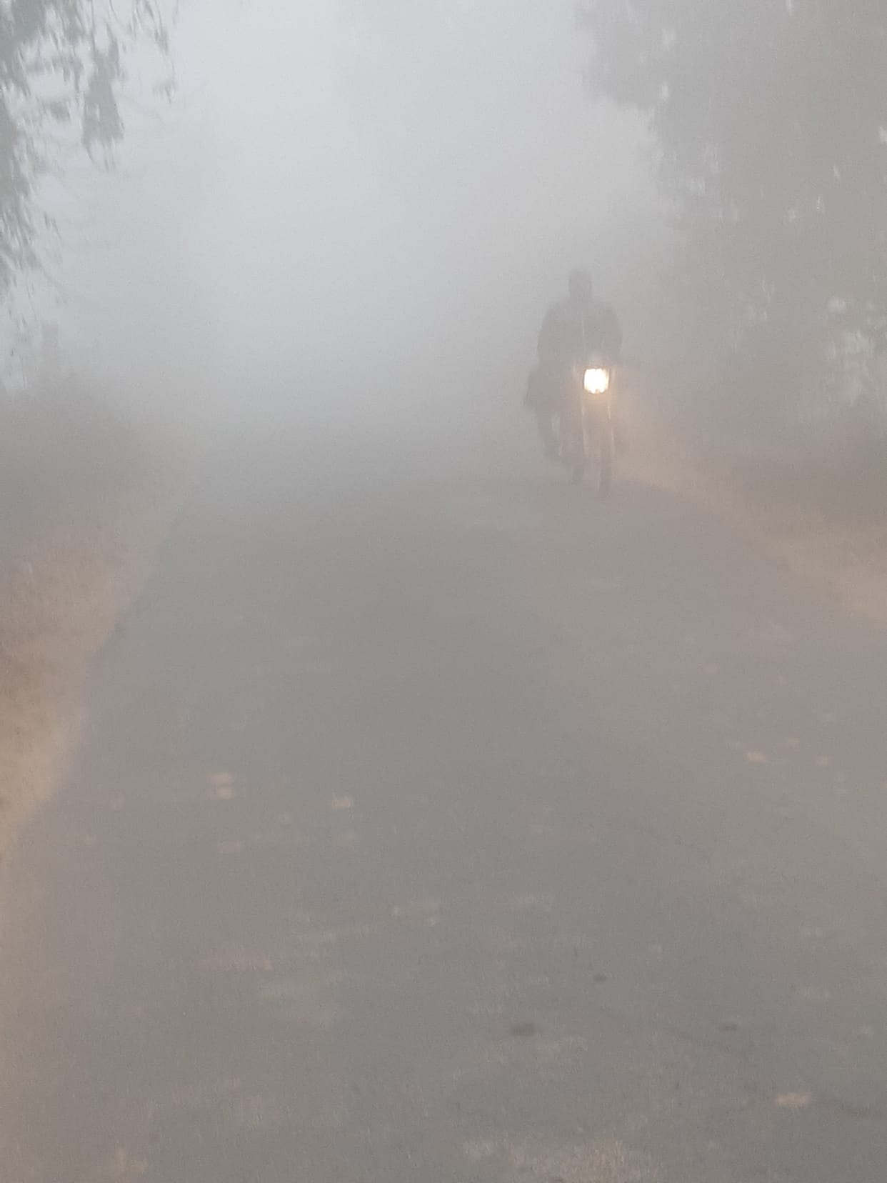 Fog prevails in the morning, visibility reduced, vehicles move slowly