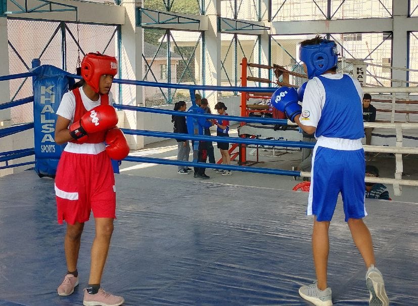 Swati, Vanshika, Kripa and Komal won the boxing competition.