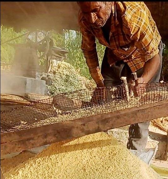 Demand for organic jaggery and sugar of Saharanpur increased