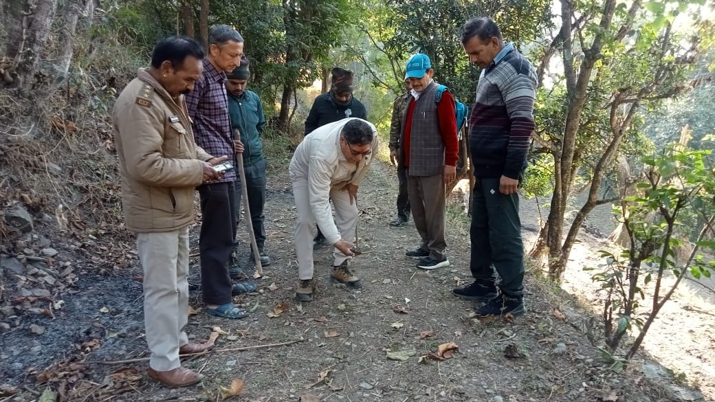 Paw prints of leopard and tiger found