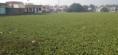 Jhukaiya pond of Jalalabad will become Amrit Sarovar