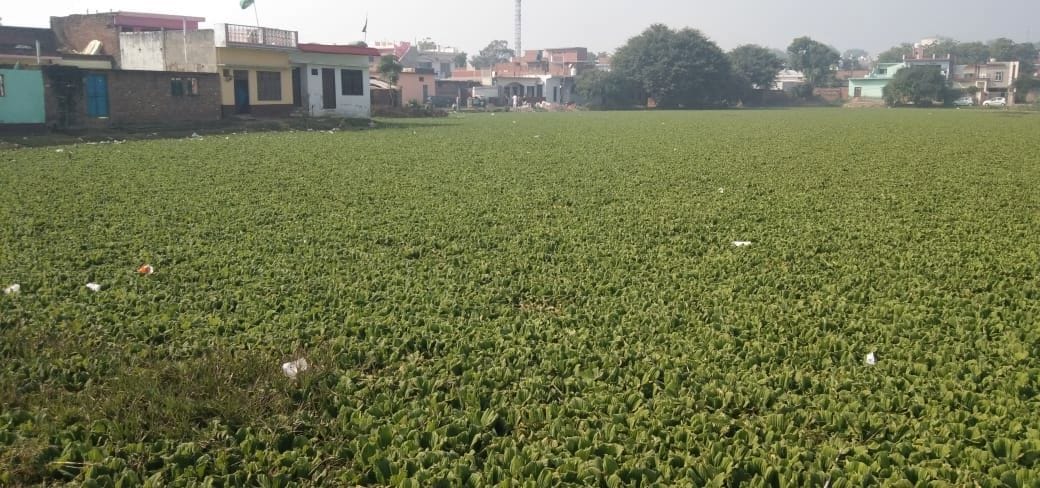 Jhukaiya pond of Jalalabad will become Amrit Sarovar