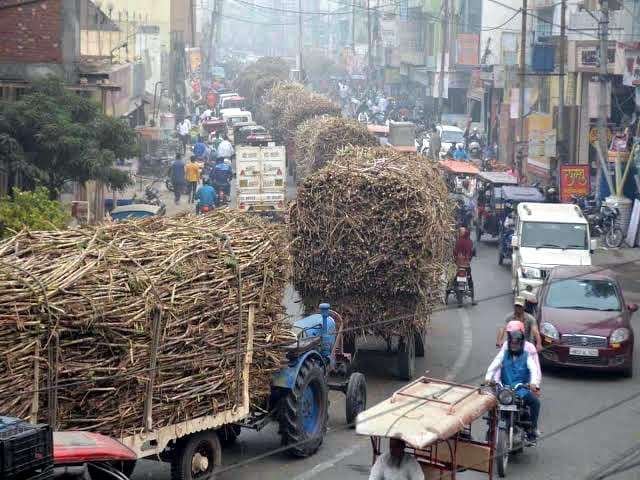 Slow crushing, city jammed with sugarcane vehicles