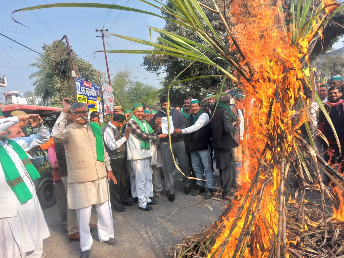 Activists of BKU Tikait faction blocked the state highway and burnt sugarcane on Holi.