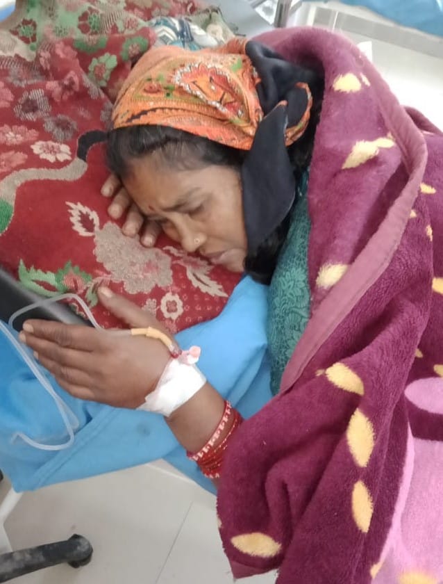 Woman injured in bear attack after going to forest to collect fodder