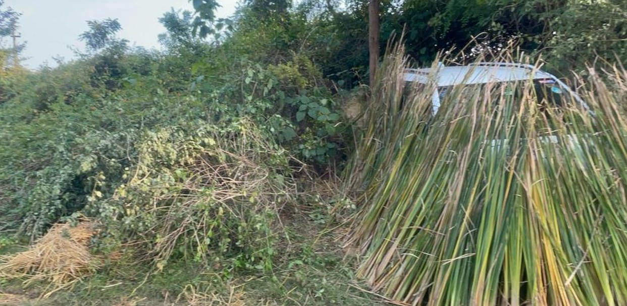 Experts laid a trap to catch the leopard