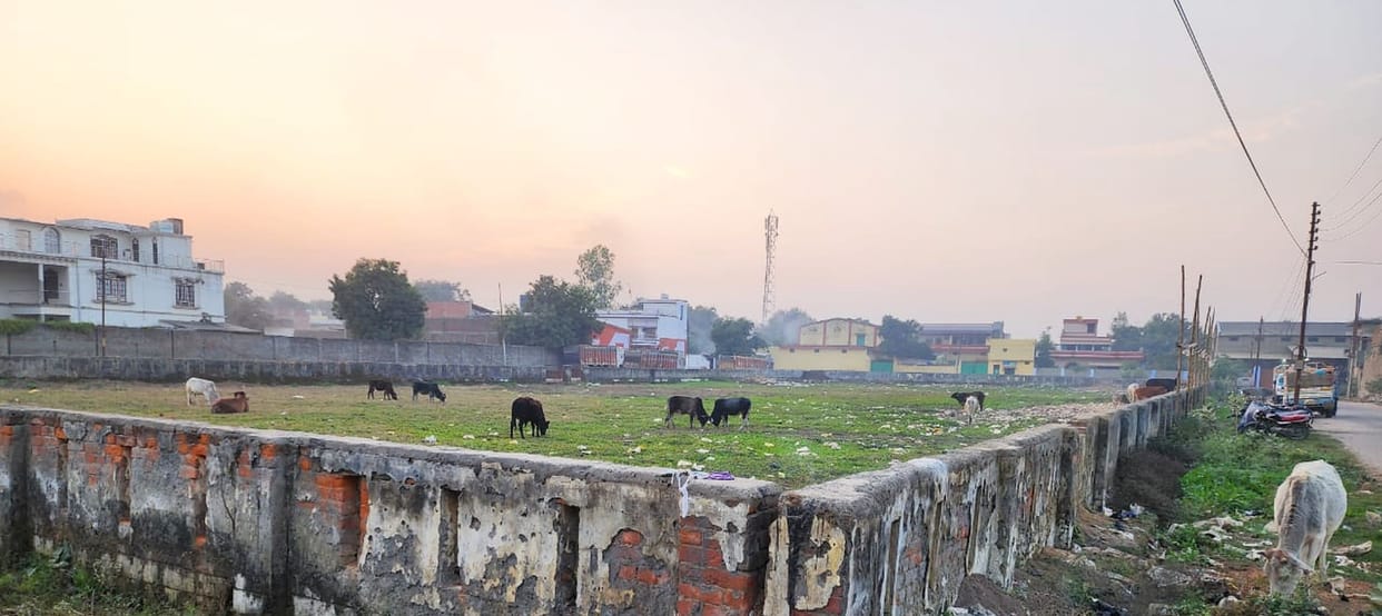 The stain of backwardness will be removed with 36 projects worth Rs 368 crore