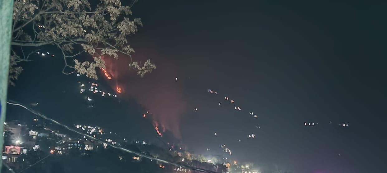 Stay safe in summer, forests start burning in winter