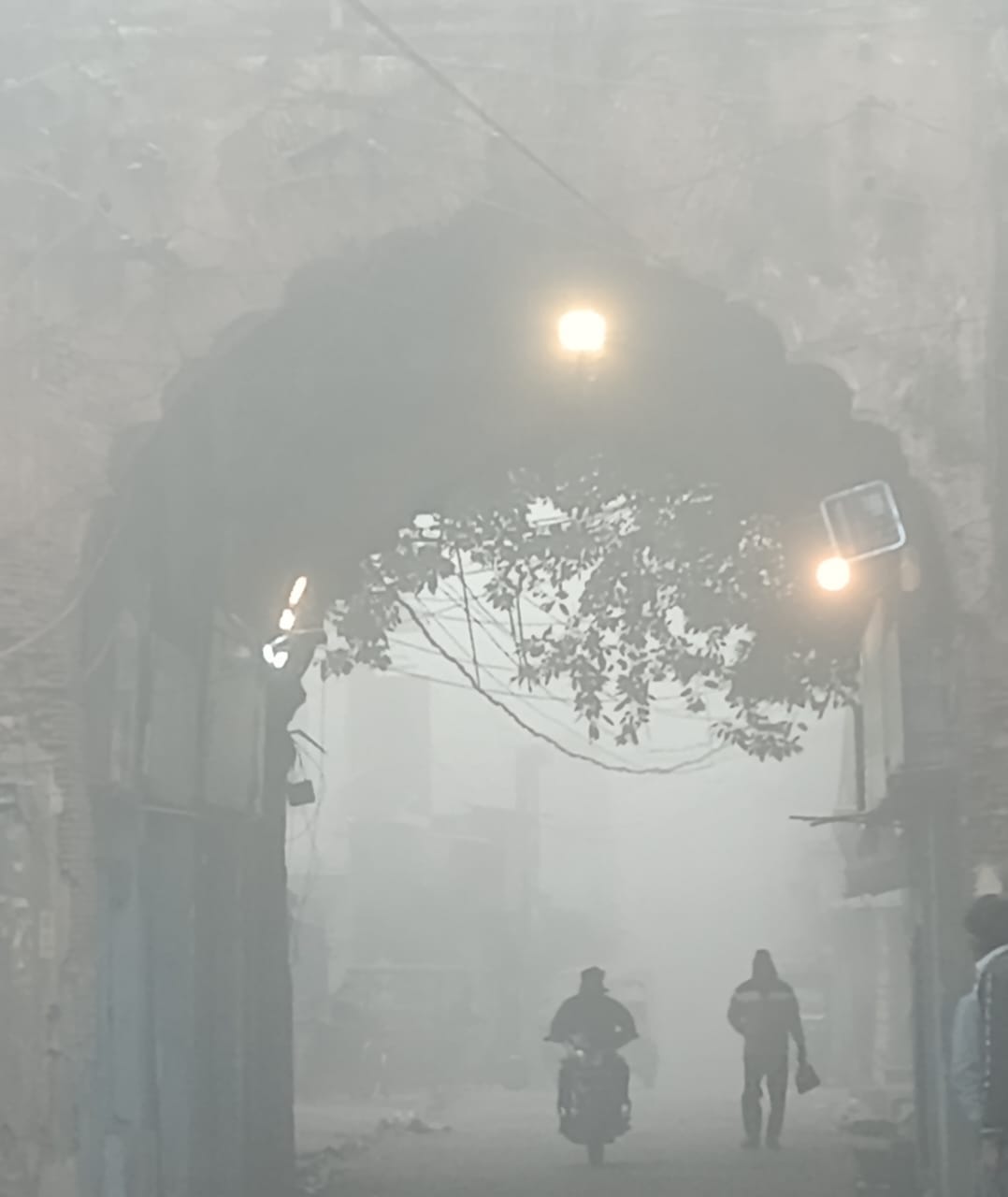 Terai wrapped in fog, mercury dropped below five degrees