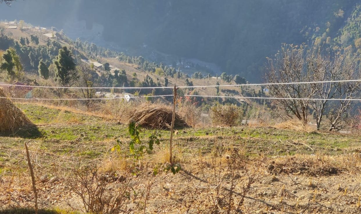 The power line was supported on a wooden pole instead of a pole.