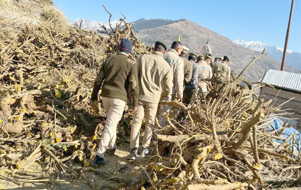 Two dozen people caught taking out roots of Kashmal illegally, fined Rs 4.15 lakh