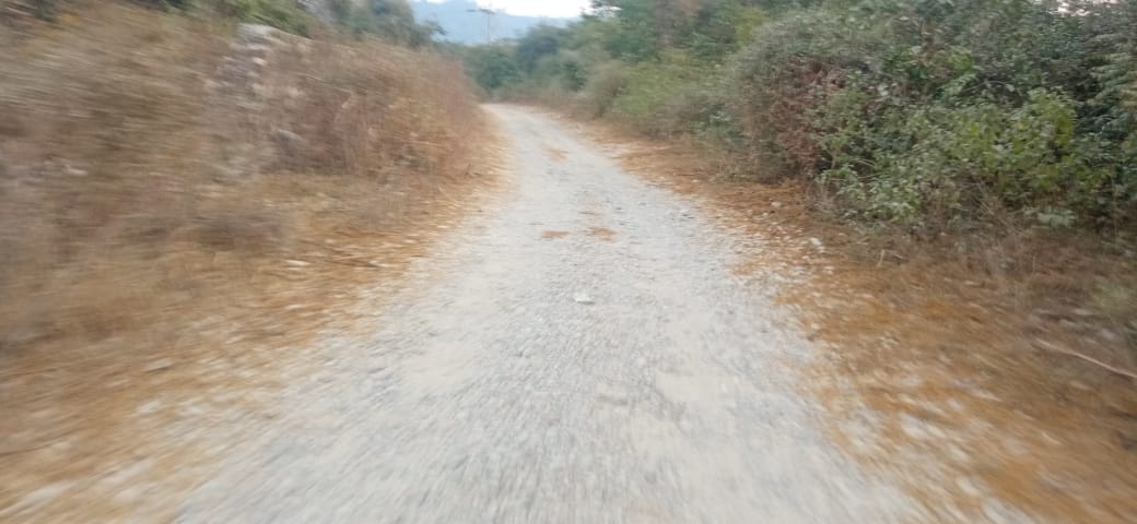 Villagers forced to pass through sandy and rocky path amidst wildlife