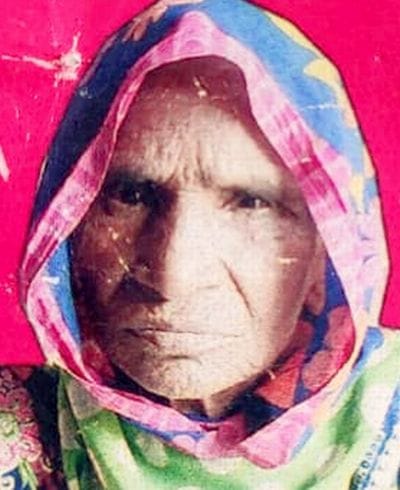 Elderly woman dies after being hit by bus