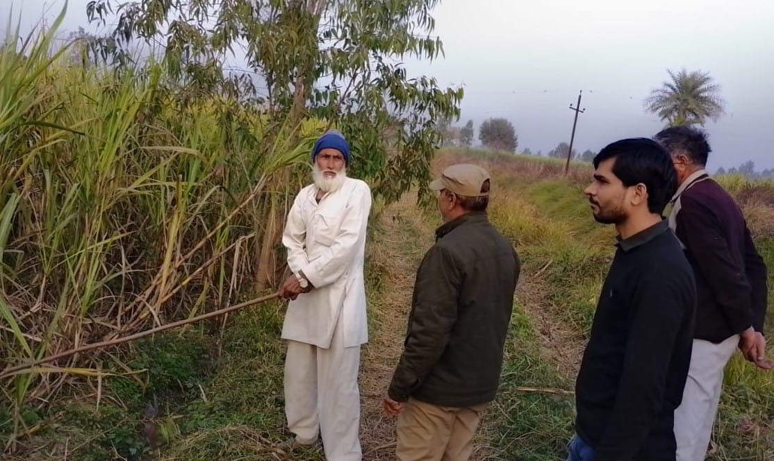 Guldar attacked a young man in village Rasoolpur Said