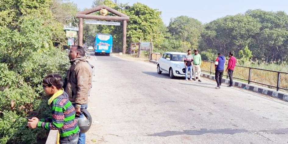 Dudhwa National Park housefull from 20th December to 5th January