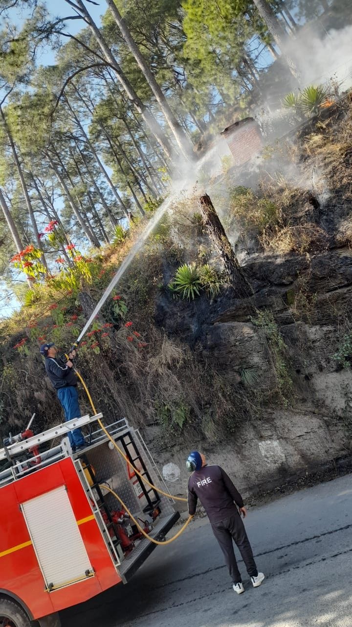 Fire blazing in the forest of Karbala