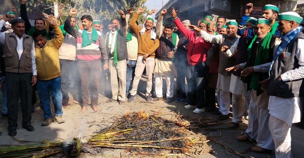 Farmers burnt sugarcane on Holi, demonstrated