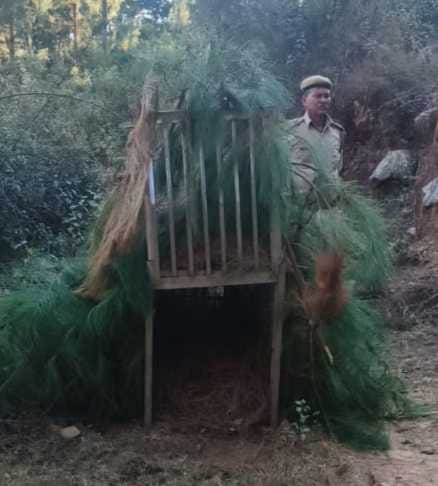 Fear of leopard, cage installed in Sui area