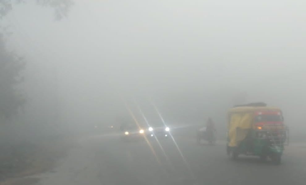 Mercury dropped due to fog and wind, came to five degrees Celsius