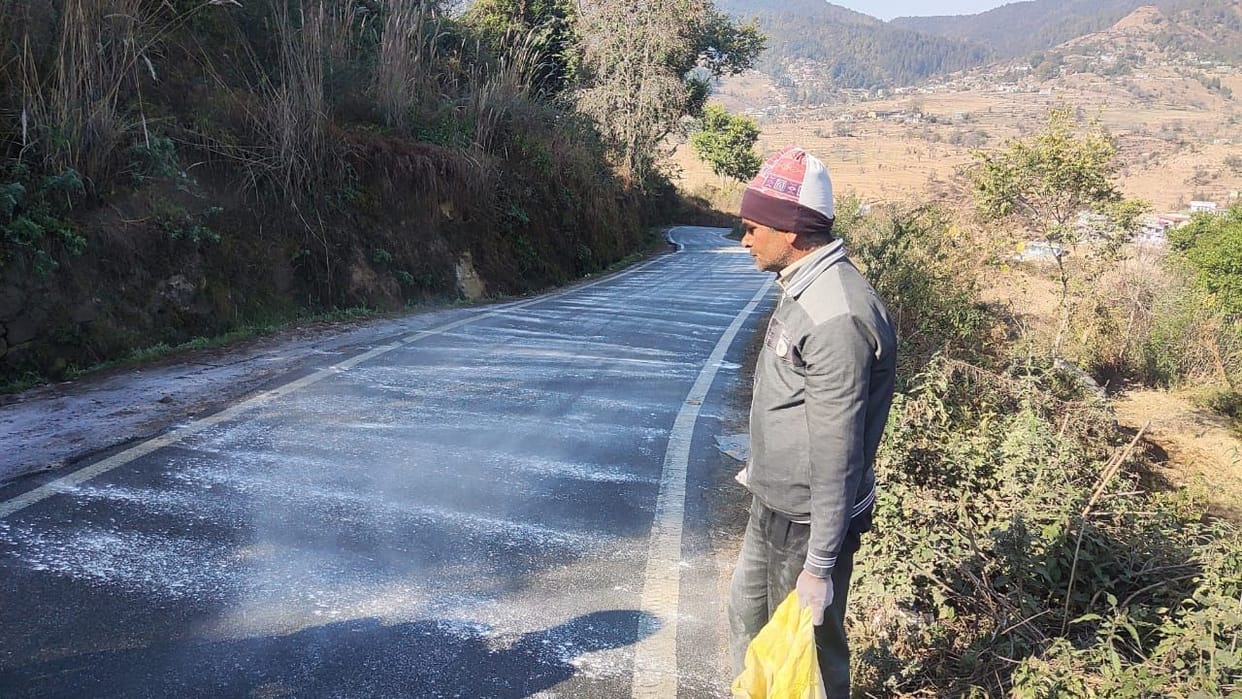 Sprayed salt and lime to protect from frost