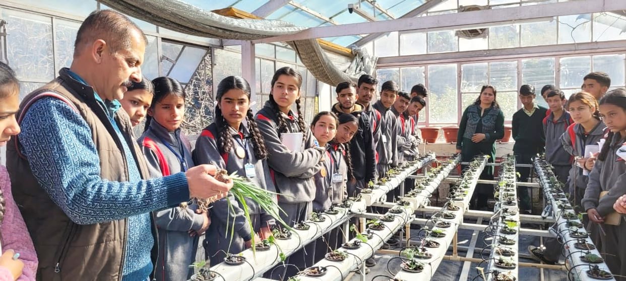 Told students the method of preparing saplings in nursery