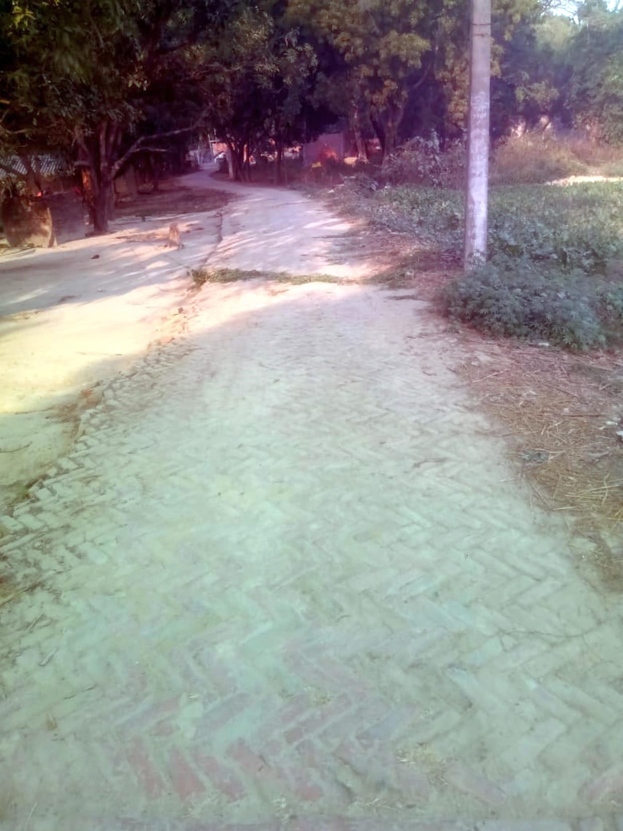 Three roads will be built in Jahangirganj area for Rs. 2.25 crores.