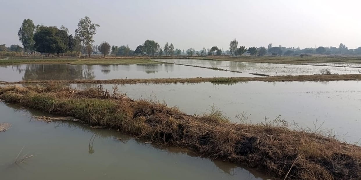 Track broken, 20 bighas of crop drowned