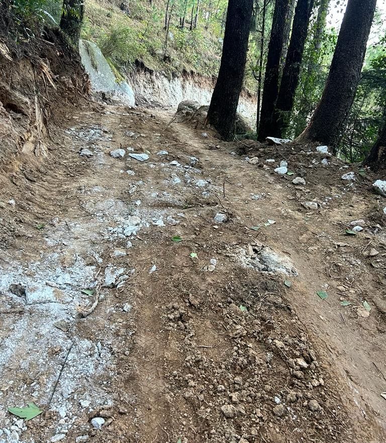 Road built on Forest Department land without permission, 5 trees also damaged