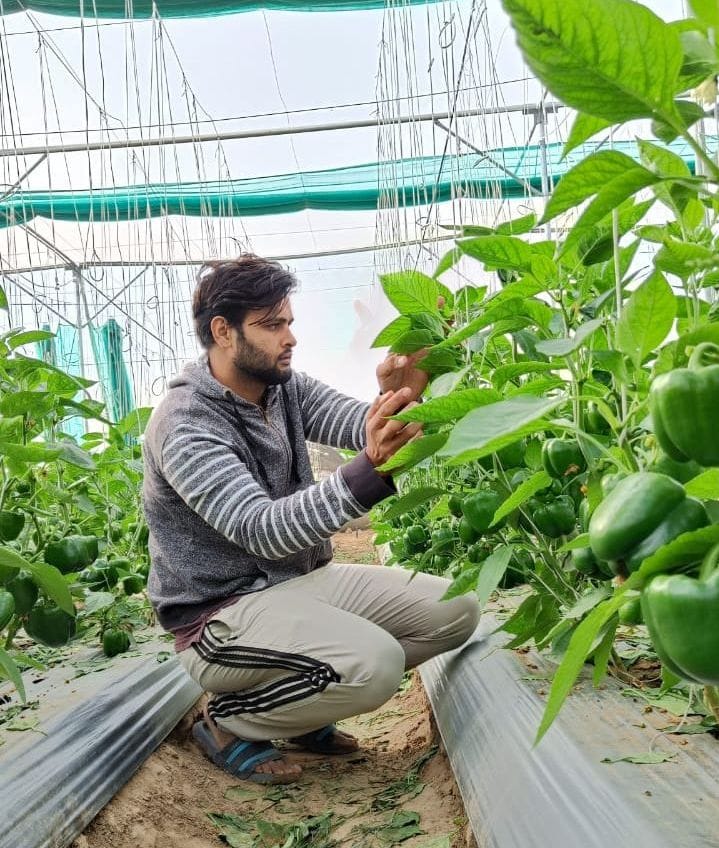 Amit established new dimensions in gardening