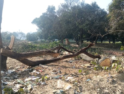 Permission to cut orchards cancelled, DM sets up inquiry