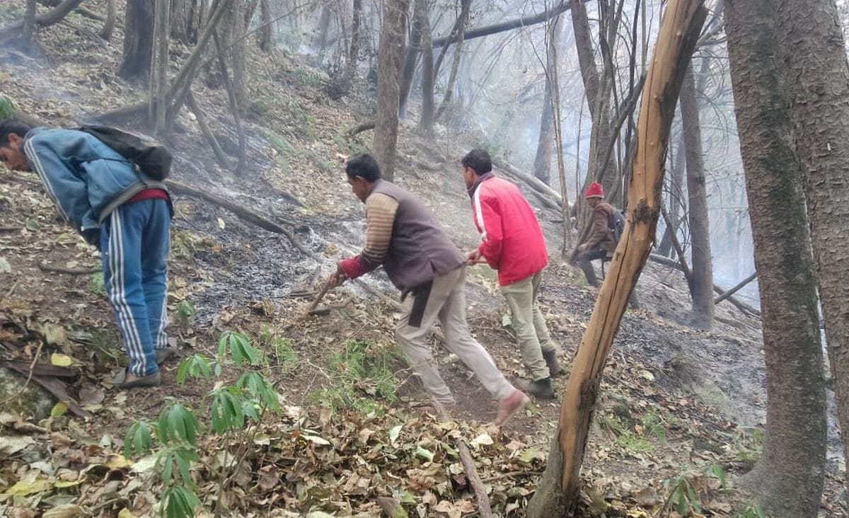 The villagers along with the workers also extinguished the forest fire.