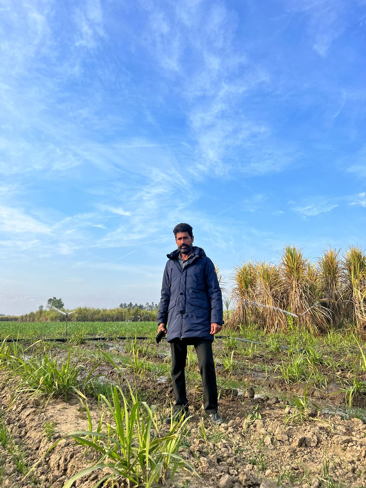 Baj Singh produced 771 quintals of sugarcane in one hectare.