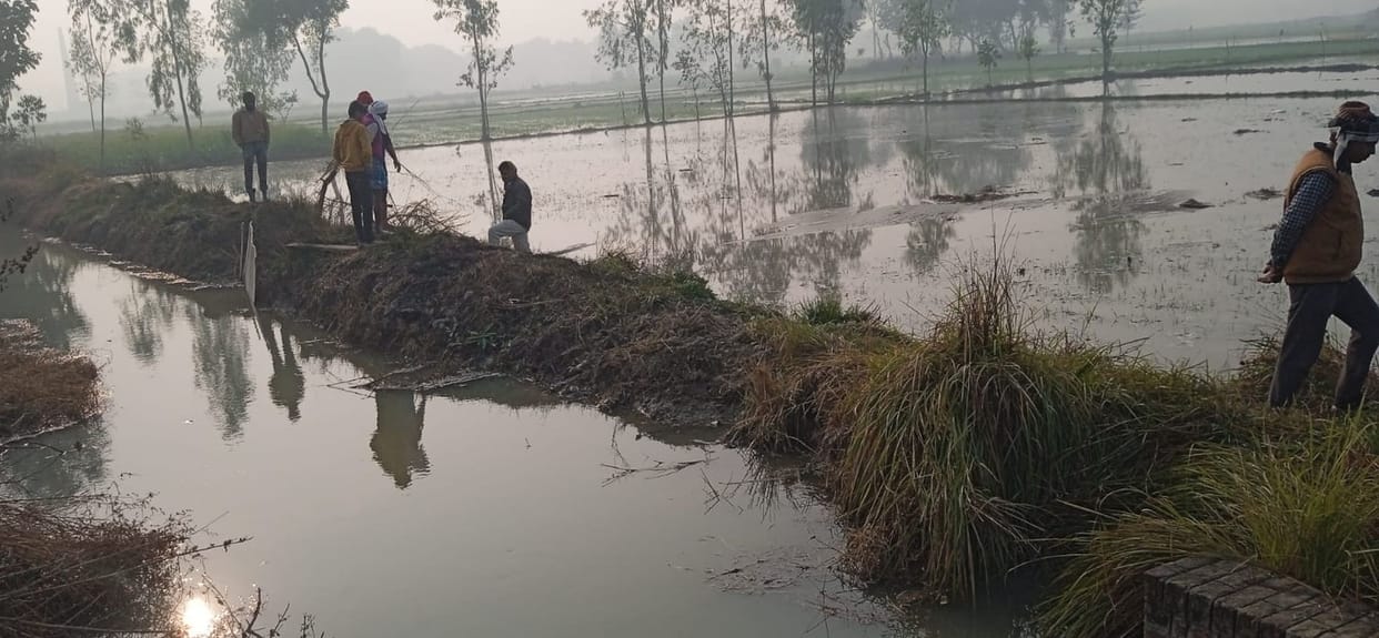 Minor cut, 40 bigha crop submerged