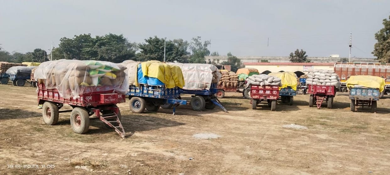 Waiting for sale of paddy, queue of 230 trolleys