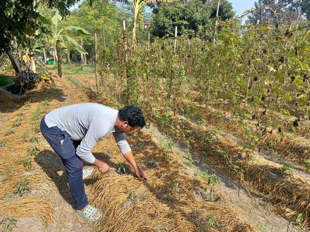 Left job worth Rs 15 lakh, writing success story by doing organic farming