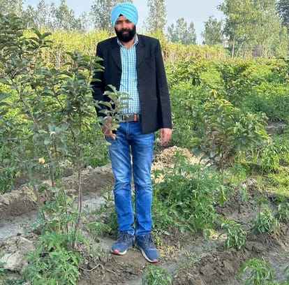 Rejected job offer abroad...made fruit farming a career