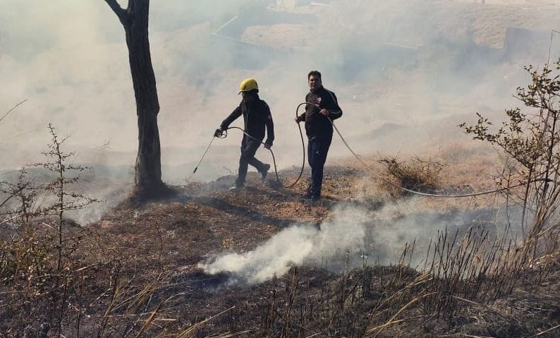 Huge loss to forest wealth due to forest fire