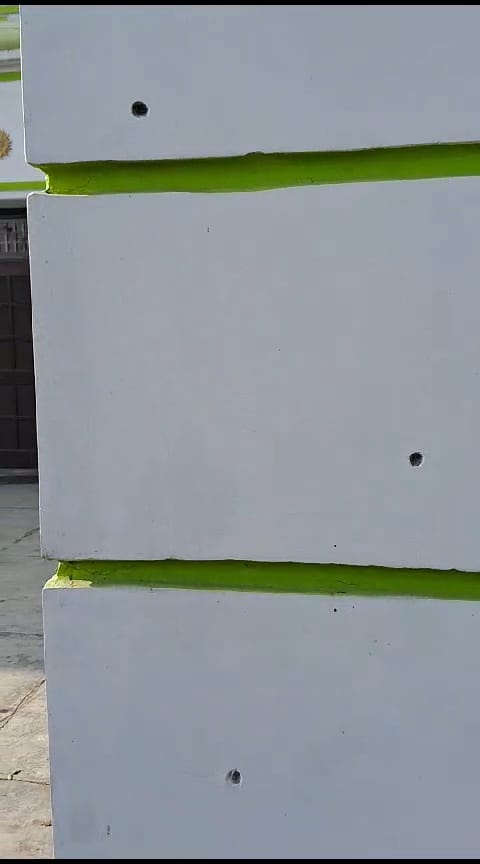 Alipura was shaken by firing at night, bullets entered the walls