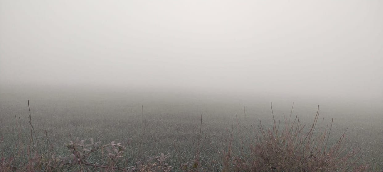 Cold starts increasing, crops will benefit