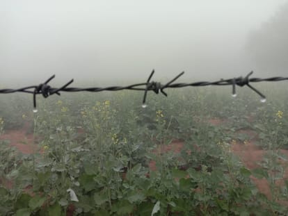 MP Weather News: Minimum temperature dropped after four days due to sunshine
