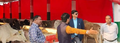 Honorarium of APO and technical assistant stopped