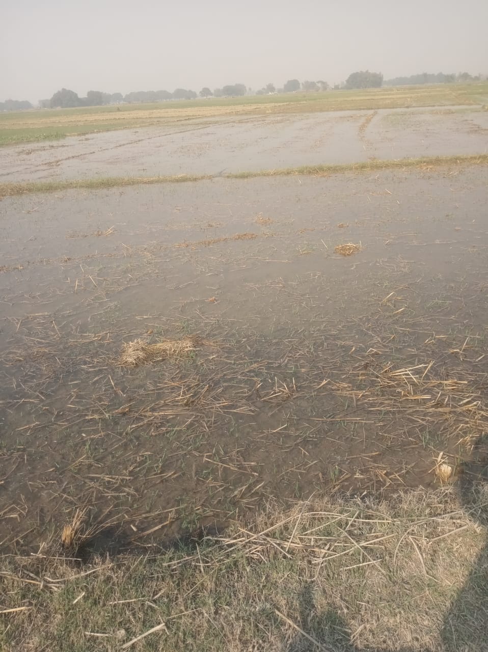 Water released into Saryu canal, 20 bigha fields submerged