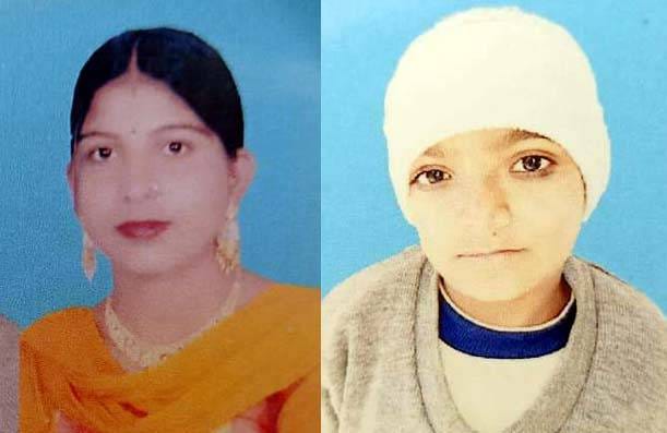 Mother and daughter going to collect wood die after being hit by a car