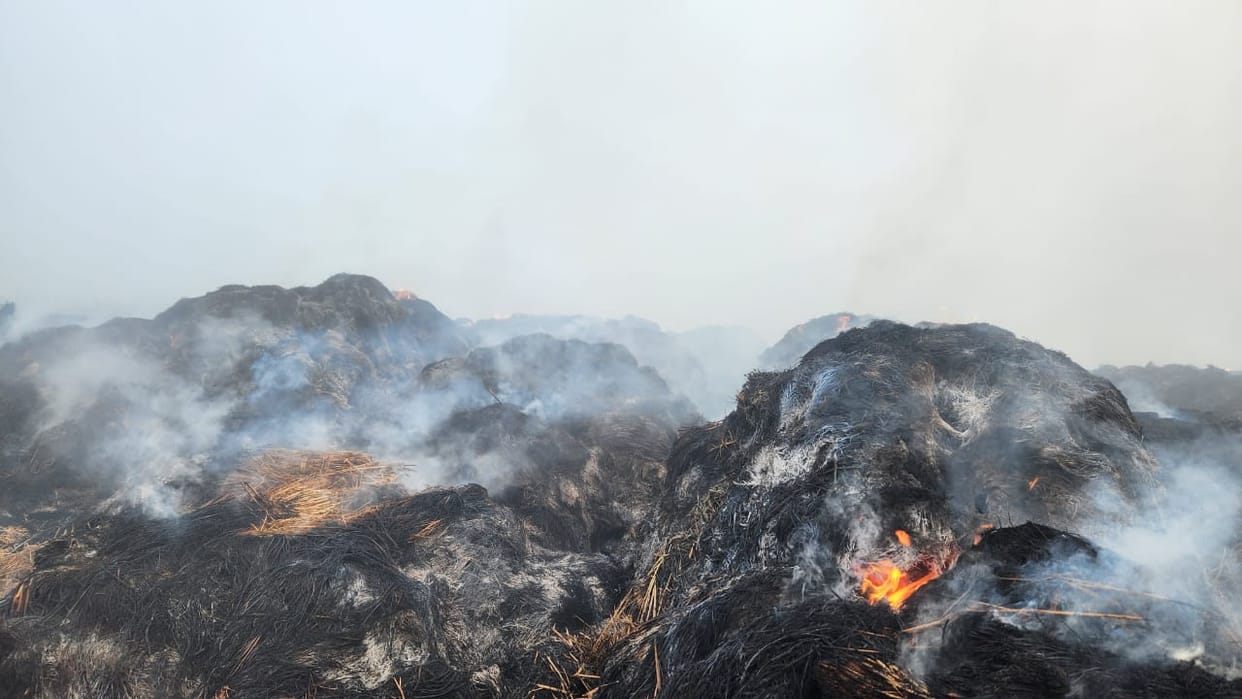 1200 bighas of straw burnt to ashes