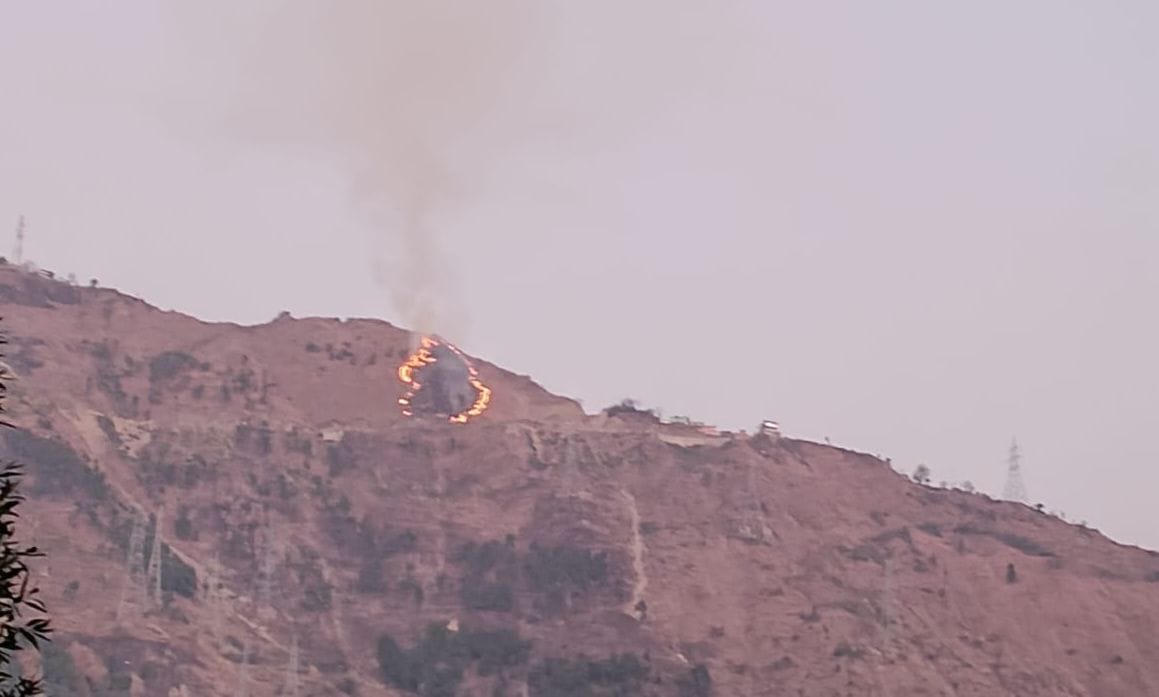 Forest wealth reduced to ashes due to forest fire near Kariya