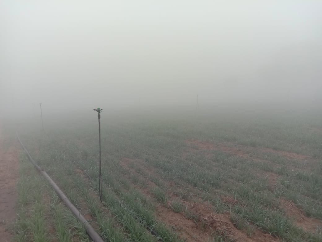 Weather improves after three days of fog, chill persists