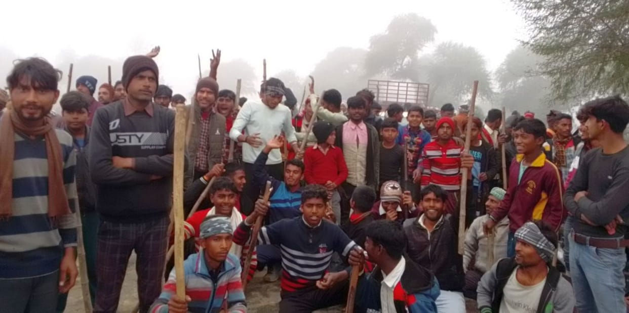 Jam imposed for not keeping animals in cowshed